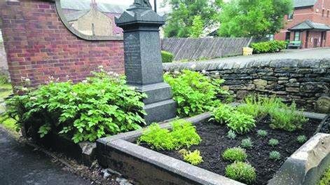 ‘Edible graves’  bring new life