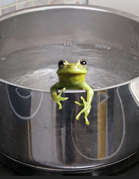 A frog in  the kettle?