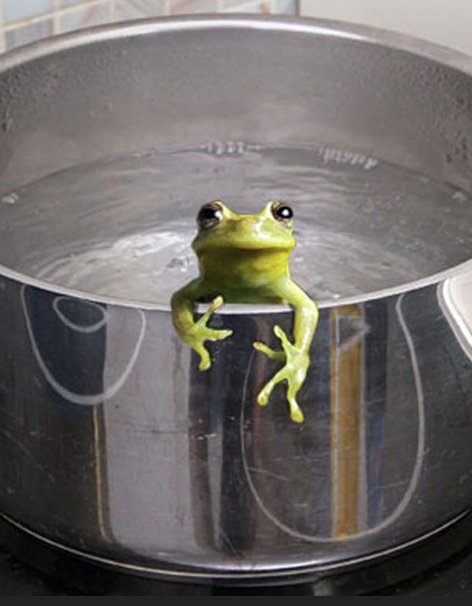 A frog in  the kettle?