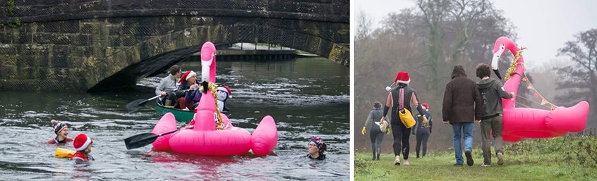 A flamingo, seasonal festivity and faith