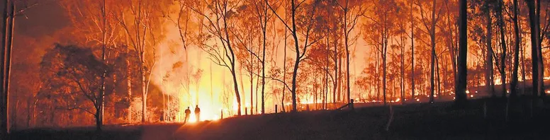 Australia: the church responds to the bushfire crisis