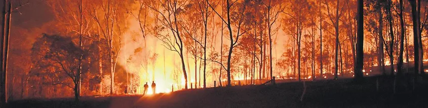 Australia: the church responds to the bushfire crisis