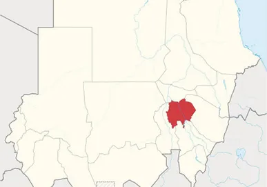 Sudan: teachers arrested