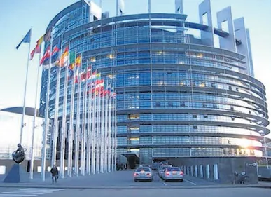 MEPs reject
 abortion
 rights