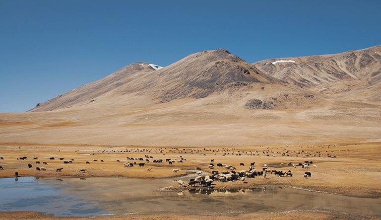 Central Asia: ‘The wilderness will rejoice and blossom’