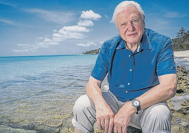 Attenborough’s sin summary