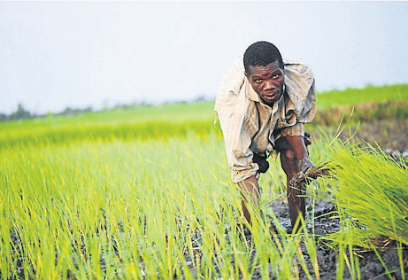 Uganda: food attack