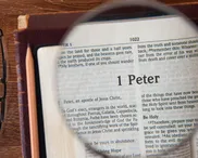 The war is within you